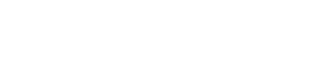 Notion_flo logo